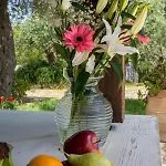 Appartamento Elaia Suites&apartments No.7