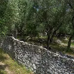 Elaia Suites&apartments No.7 Gaios
